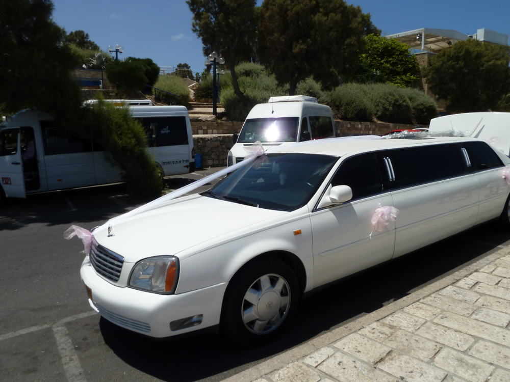 Stretch Limo